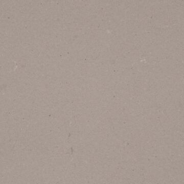 RAW CONCRETE - C4004